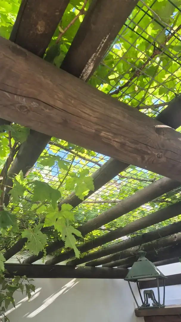 Casa rústica amb piscina en venda a Jimena de la Frontera, imagen 16