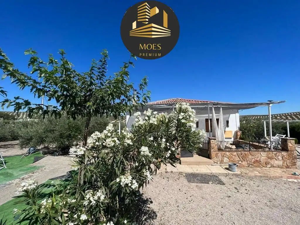 Vista exterior de Casa o chalet en venta en Martos con Terraza
