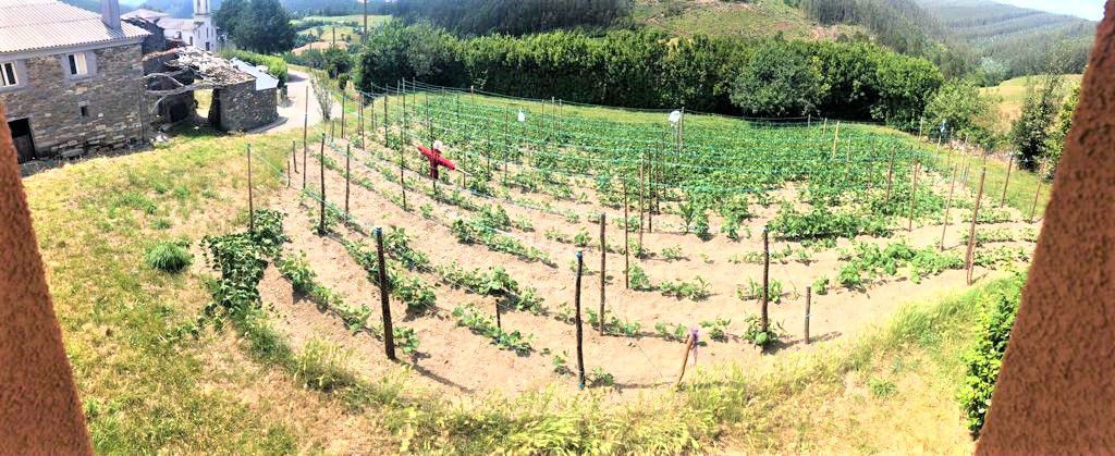 Jardí de Casa o xalet en venda en Baleira