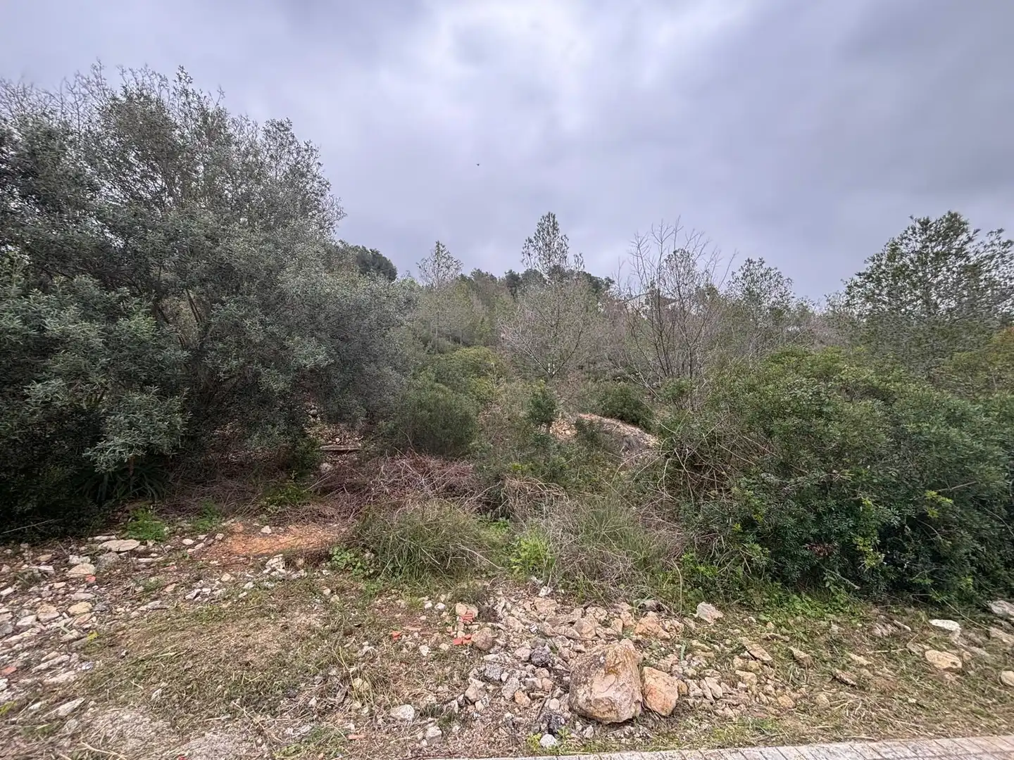 Terreny residencial en venda a Olivella, imagen 19