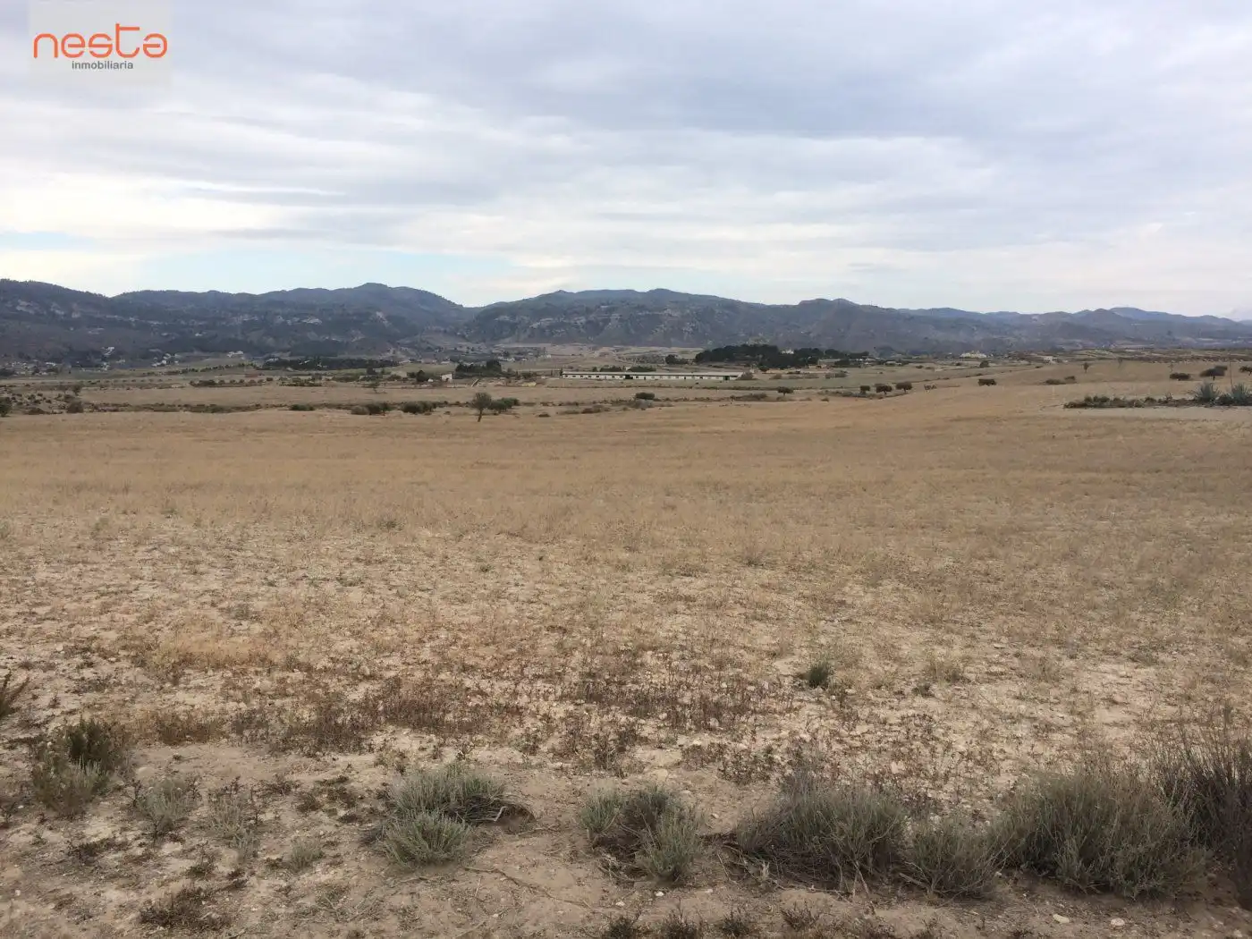 Terreno rustico in vendita a Pedanías Norte, imagen 3