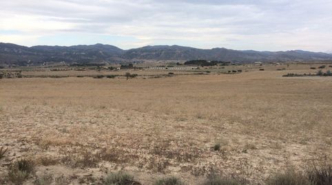 VENTA FINCA RUSTICA EN RIO, imatge 3