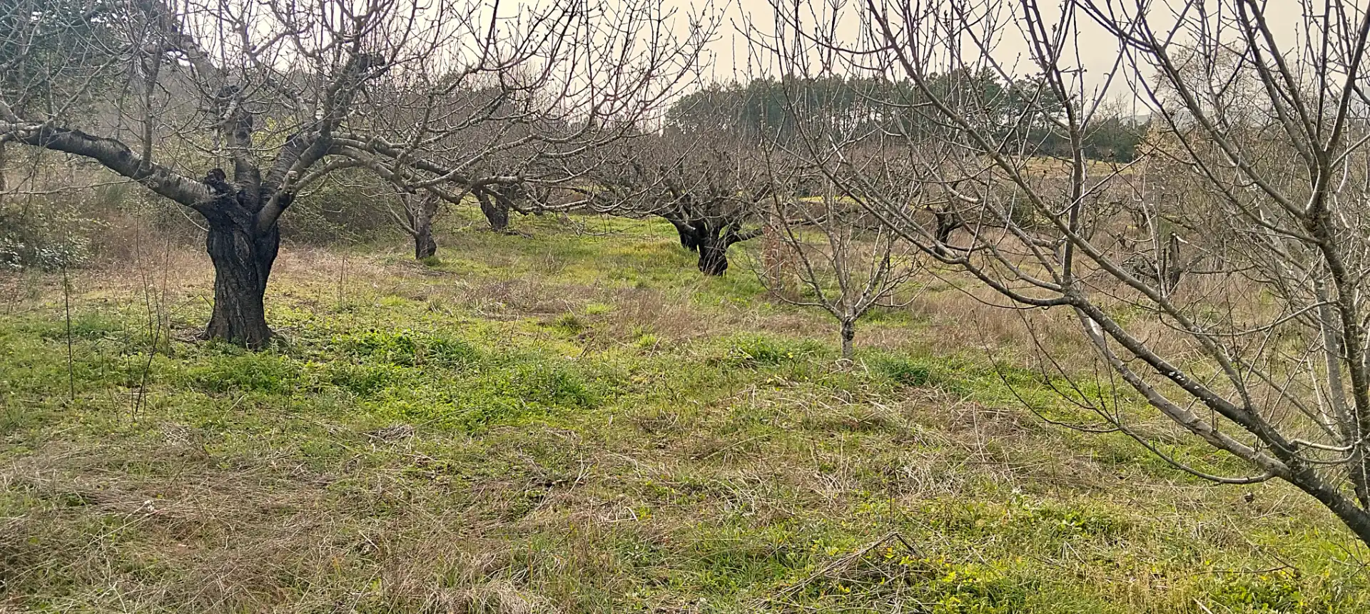 Terreno en venta en Collado de la Vera