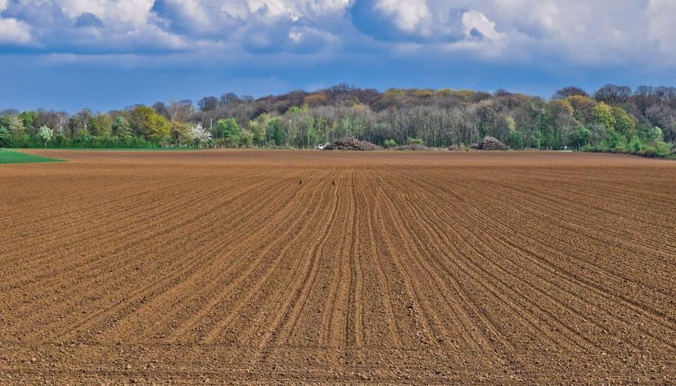 Photo 1 of Land for sale in Pedanías - Extrarradio, Albacete