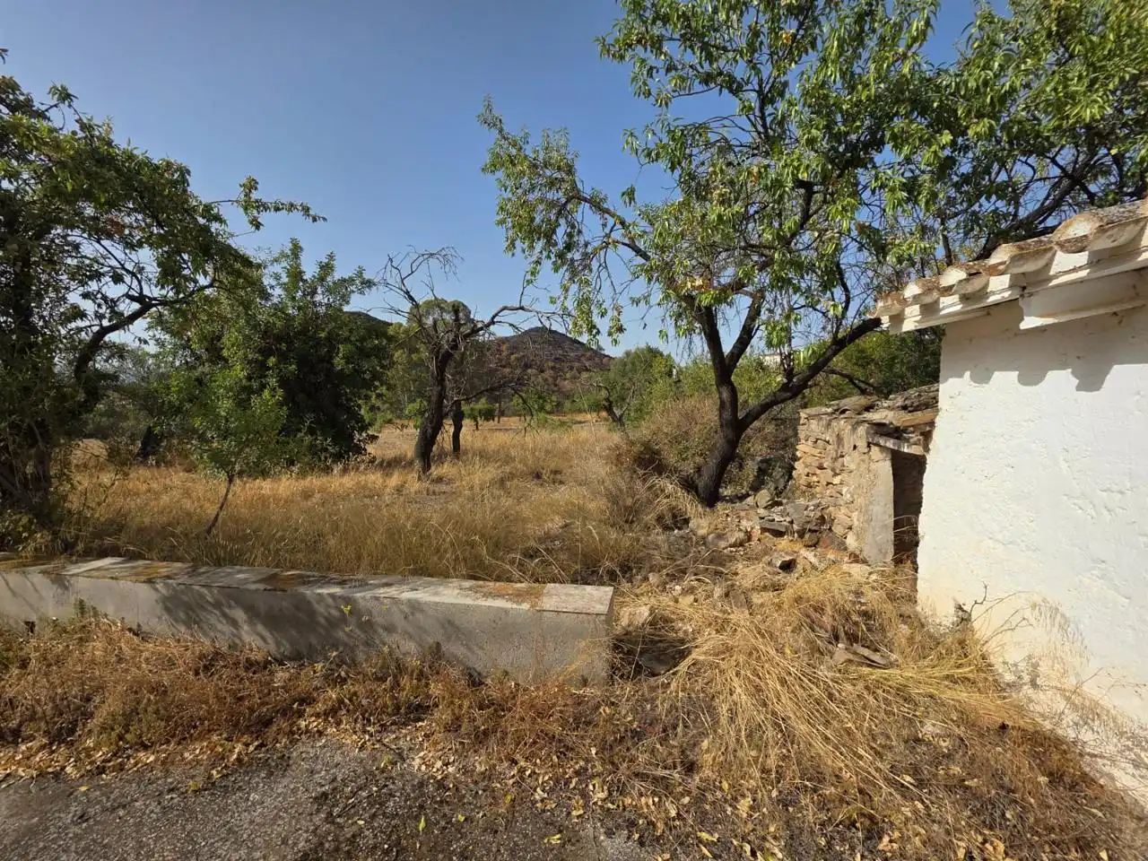 Finca rústica en venda en Bédar amb Jardí privat i Terrassa