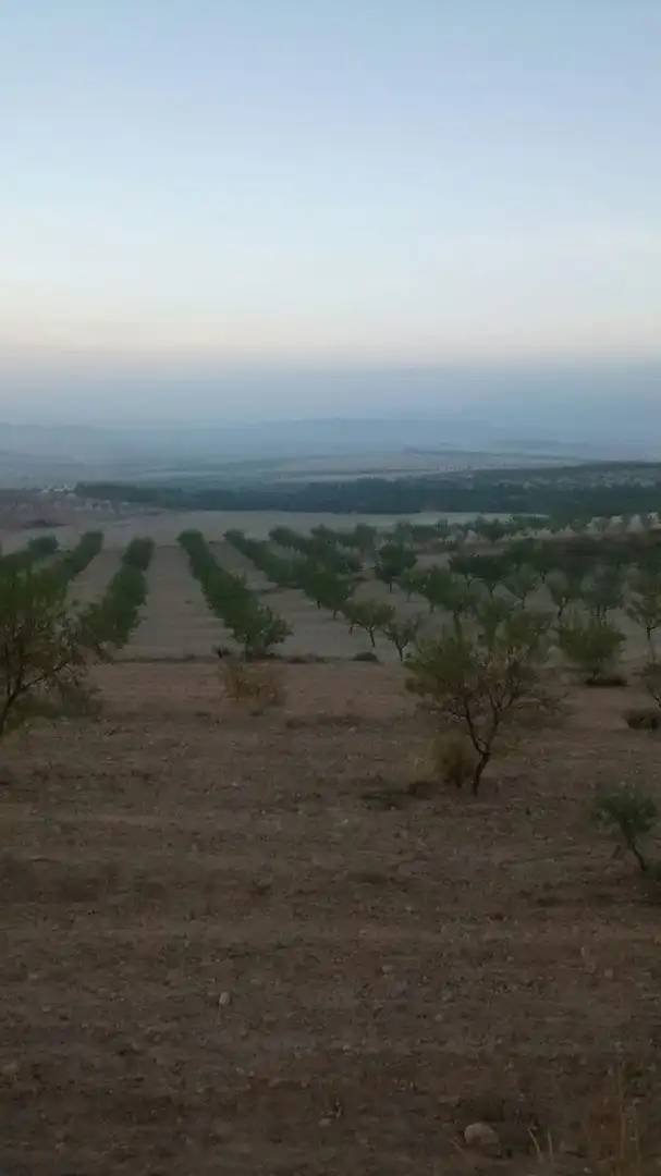 Finca rústica en venta en Lorca con Terraza y Amueblado