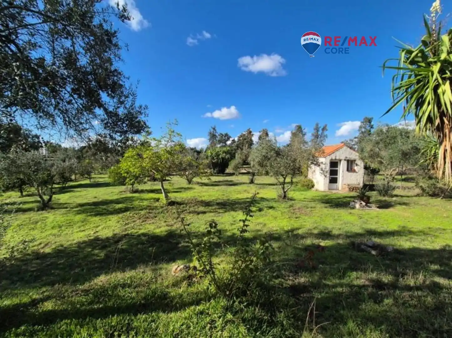 Casa amb jardí en venda a Avenida Elvas, imagen 22