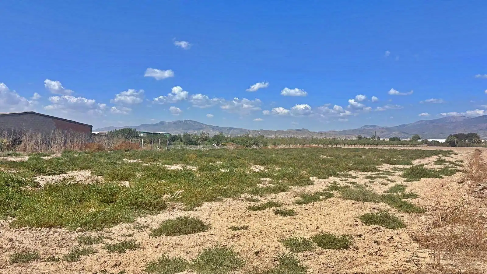 Terrenys i solars en venda a Totana