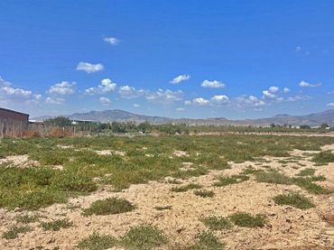 Terreno rustico in vendita a Totana