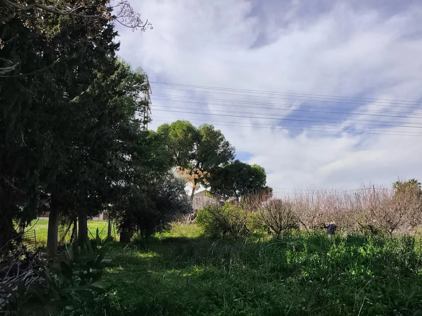 Chalet con terraza en venta en Camino Hondo, imagen 7