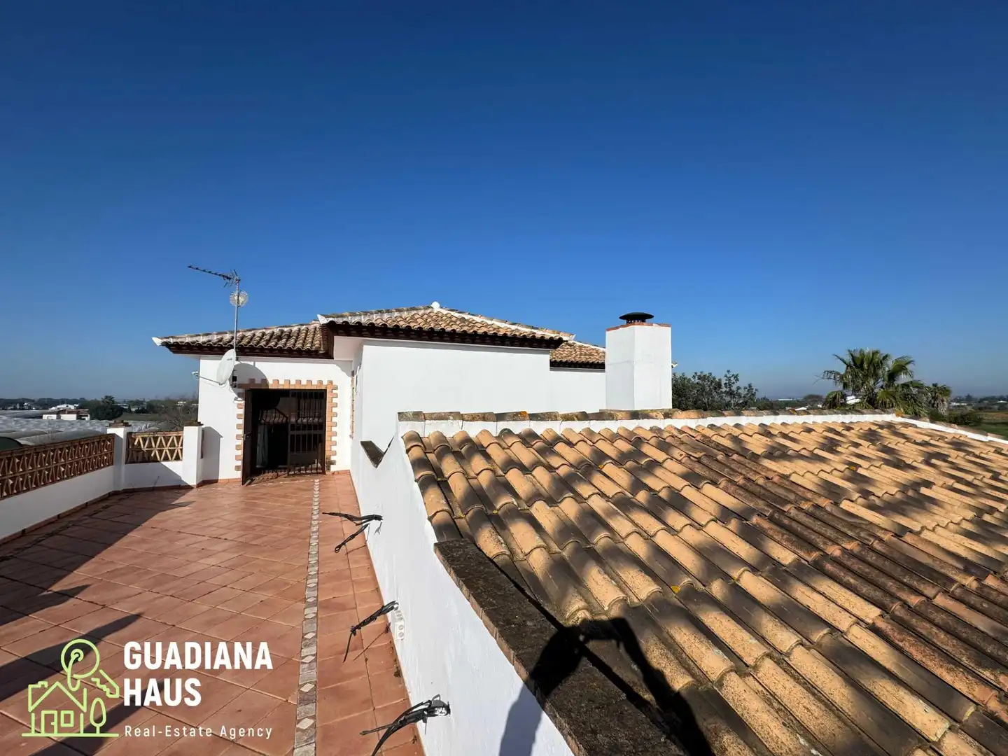 Vista exterior de Finca rústica en venta en Cartaya con Terraza y Piscina