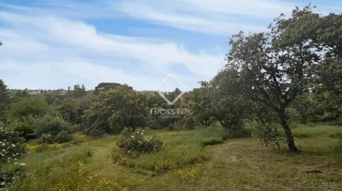 Foto 5 de Terreno en venta en Urbanización La Moraleja, Madrid