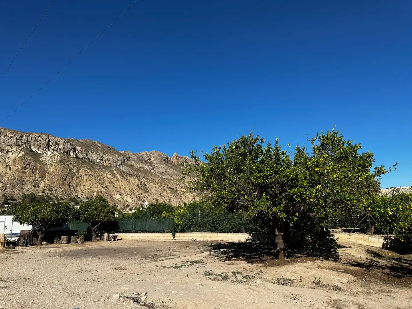 Rural land for sale in Avenida Reyes de España 41, imagen 5
