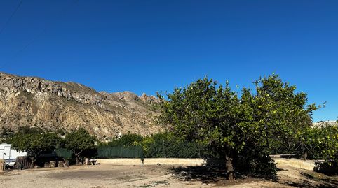 Campo en Ulea , immagine 5