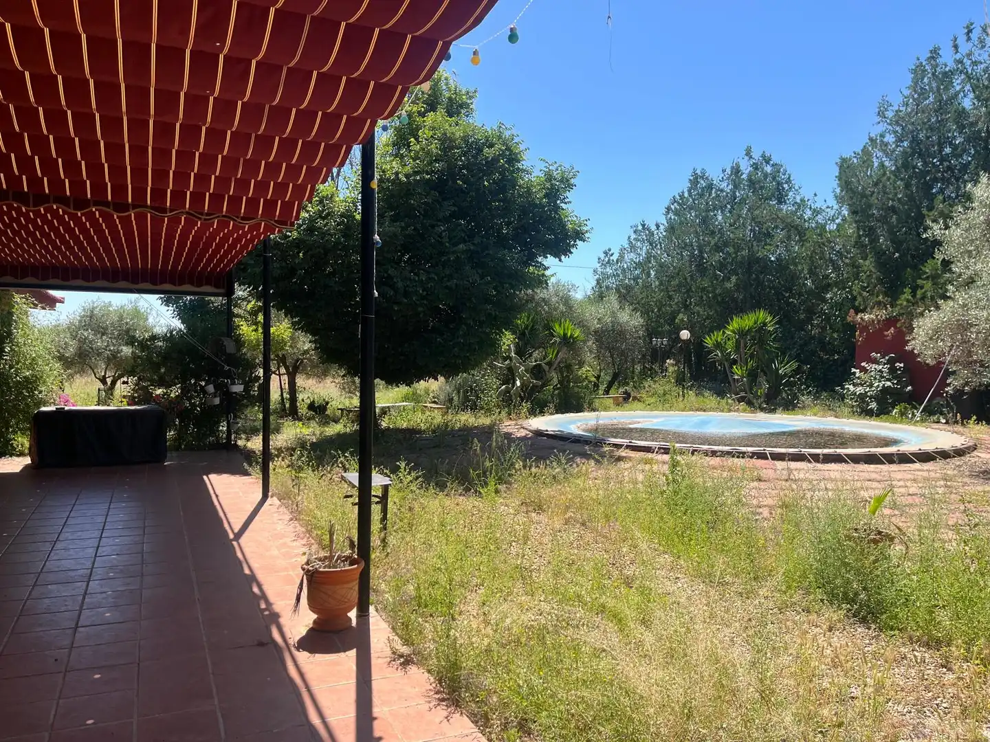 Chalet con piscina en venta en La Carlota, imagen 3