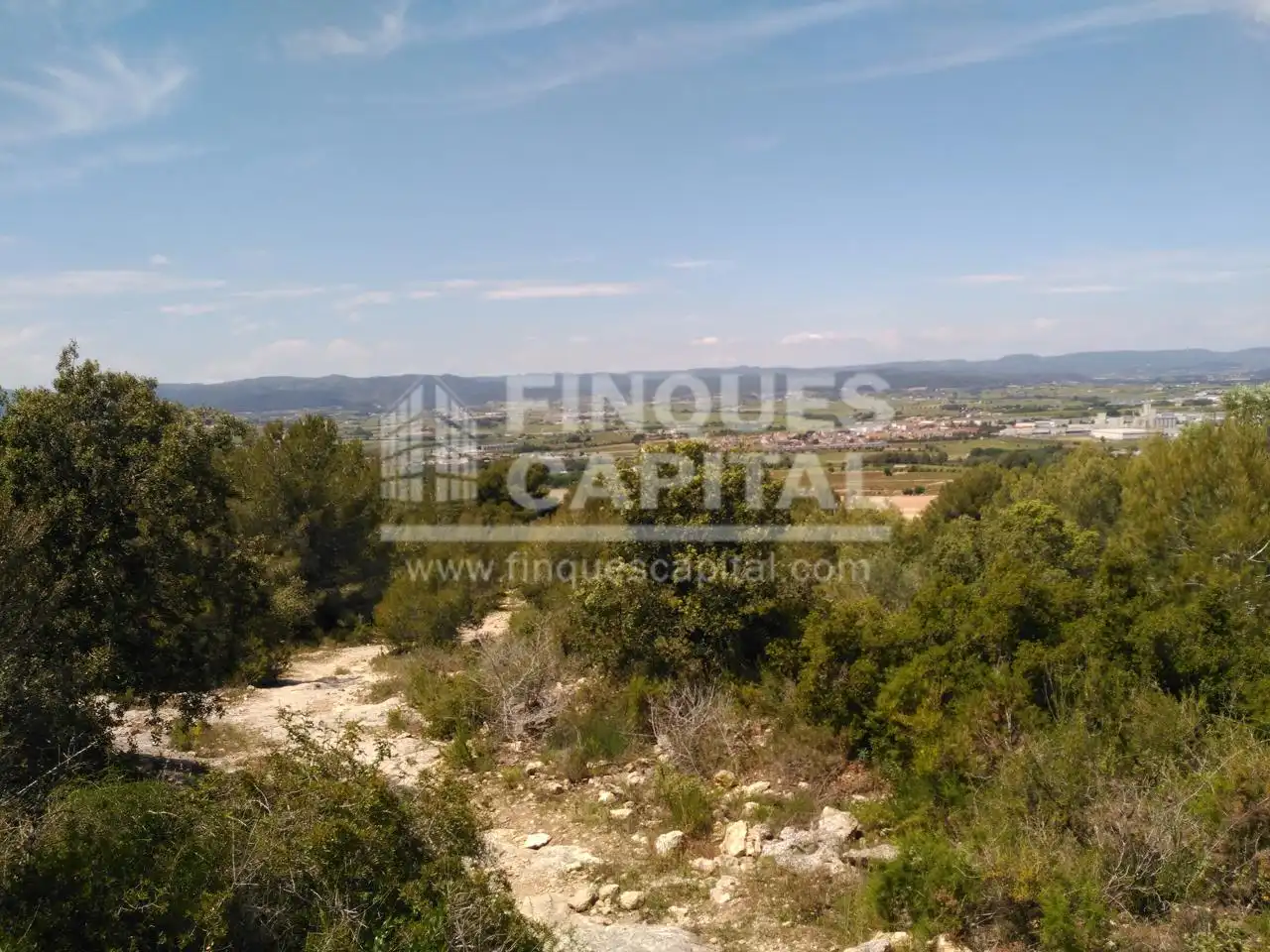Terreny rústic en venda a Els Monjos, imagen 15