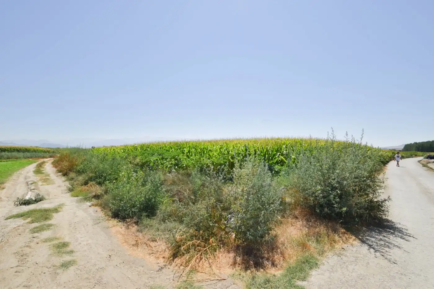 Rural land for sale in Camino PRADOS, imagen 9