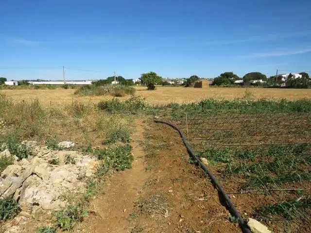 Rural land for sale in Barrio Nuevo, imagen 3