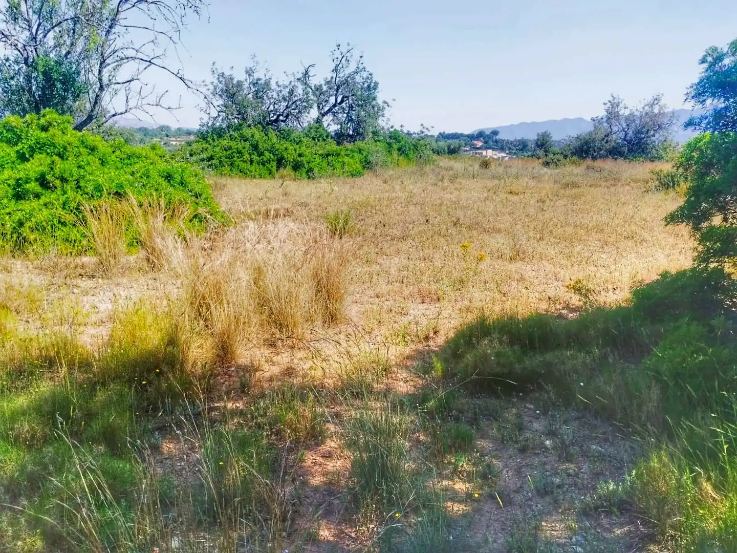 Terrain rustique à vendre à Roquetes, imagen 8