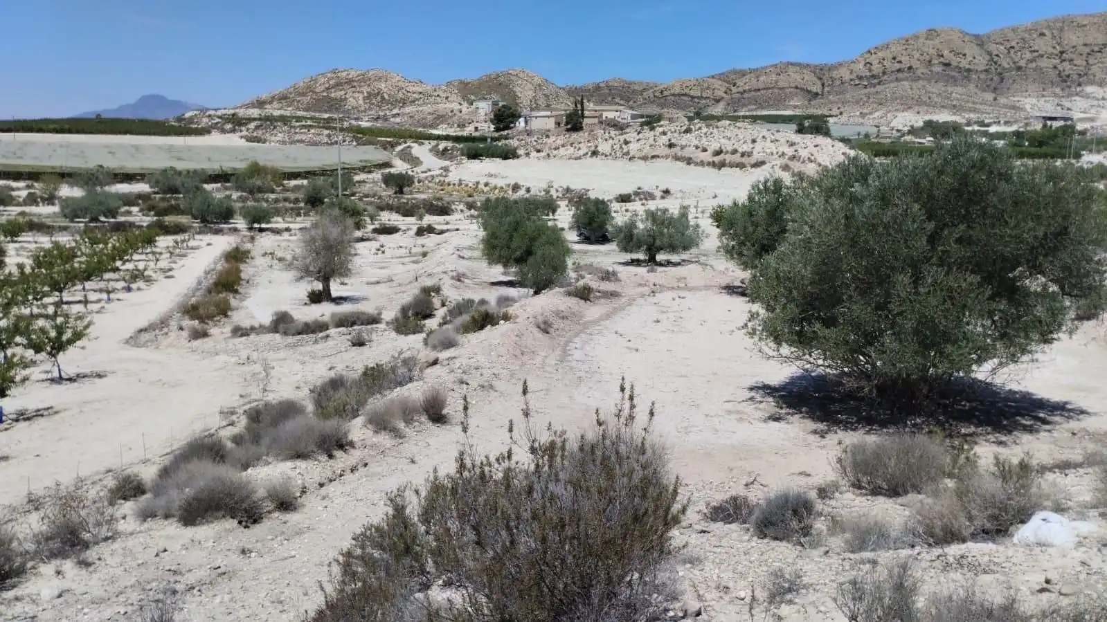 Grundstücke zum Verkauf in Molina de Segura