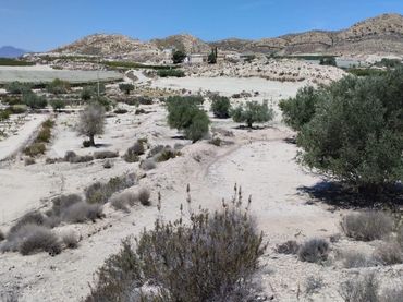 Terreno rustico in vendita a El Fenazar - Campotéjar