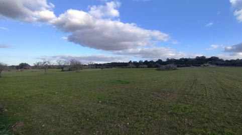 Foto 5 von Residential zum Verkauf in Sineu, Illes Balears