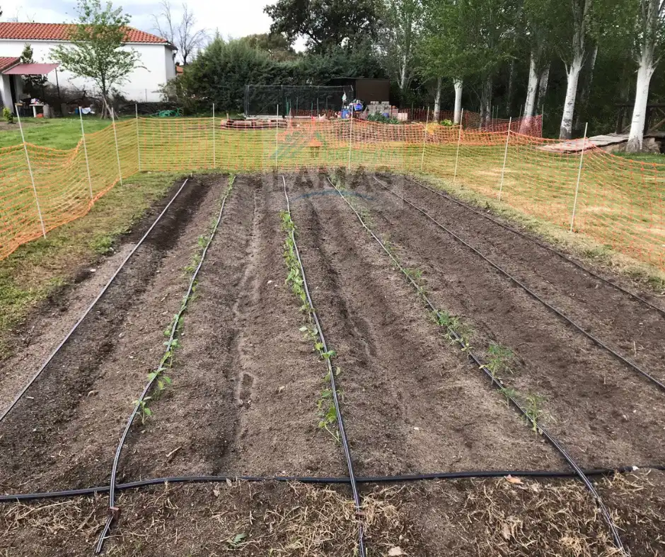 Jardí de Finca rústica en venda en Belvís de Monroy amb Aire condicionat, Jardí privat i Piscina