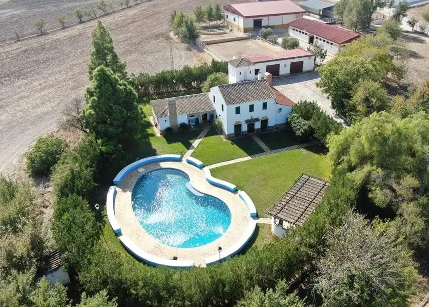 Swimming pool of Country homes for sale in Marchena  with Terrace and Swimming Pool
