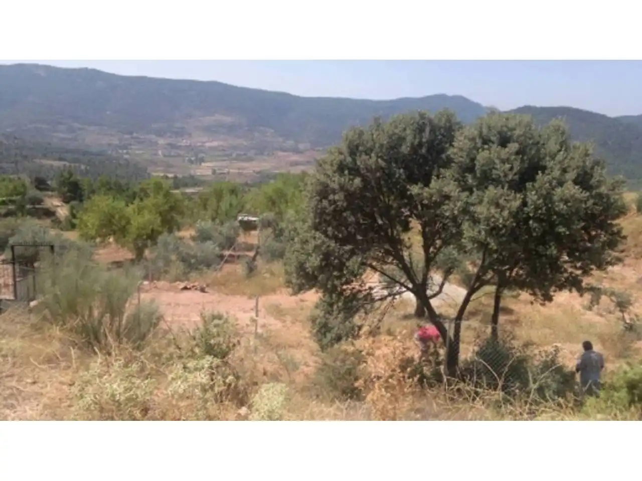 Terreno rustico in vendita a Bogarra, imagen 3