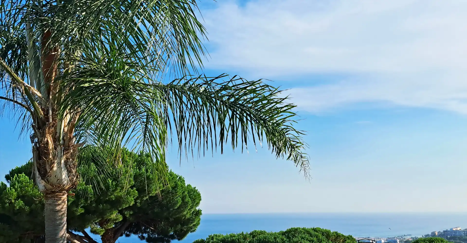 Villa con terrazza in vendita a Caldes d'Estrac, imagen 8