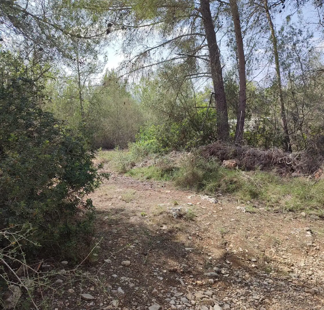 Rural land for sale in Sant Joan, imagen 2