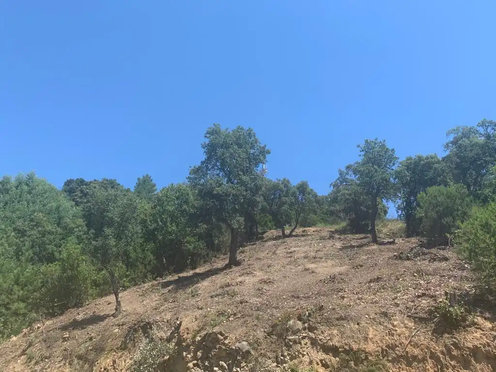 Lands and plots for sale in Riudarenes, imagen 10