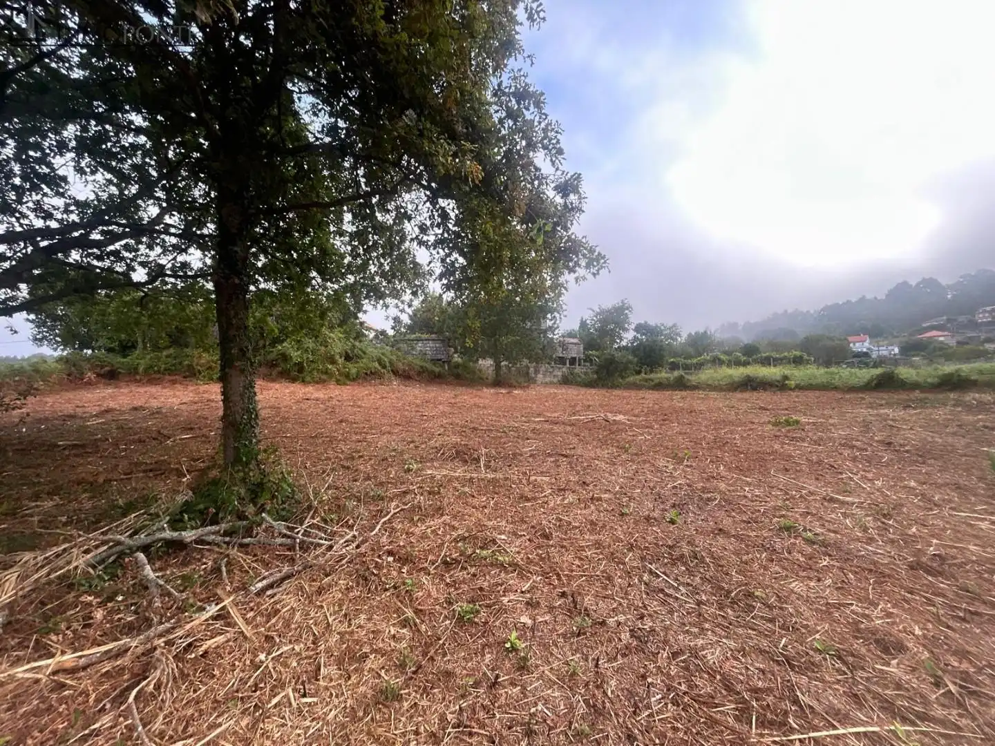 Terrenys i solars en venda a Parroquias Rurales, imagen 15