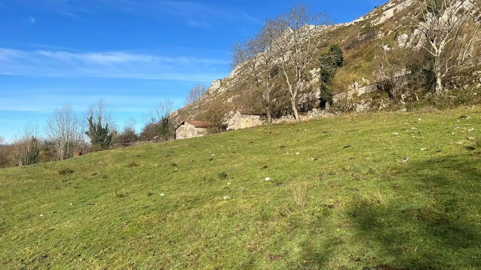 Terreno rustico in vendita a Cangas de Onís, imagen 8