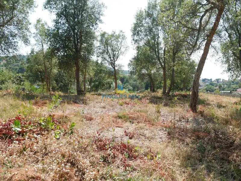 Residential land for sale in Montbarbat, imagen 7
