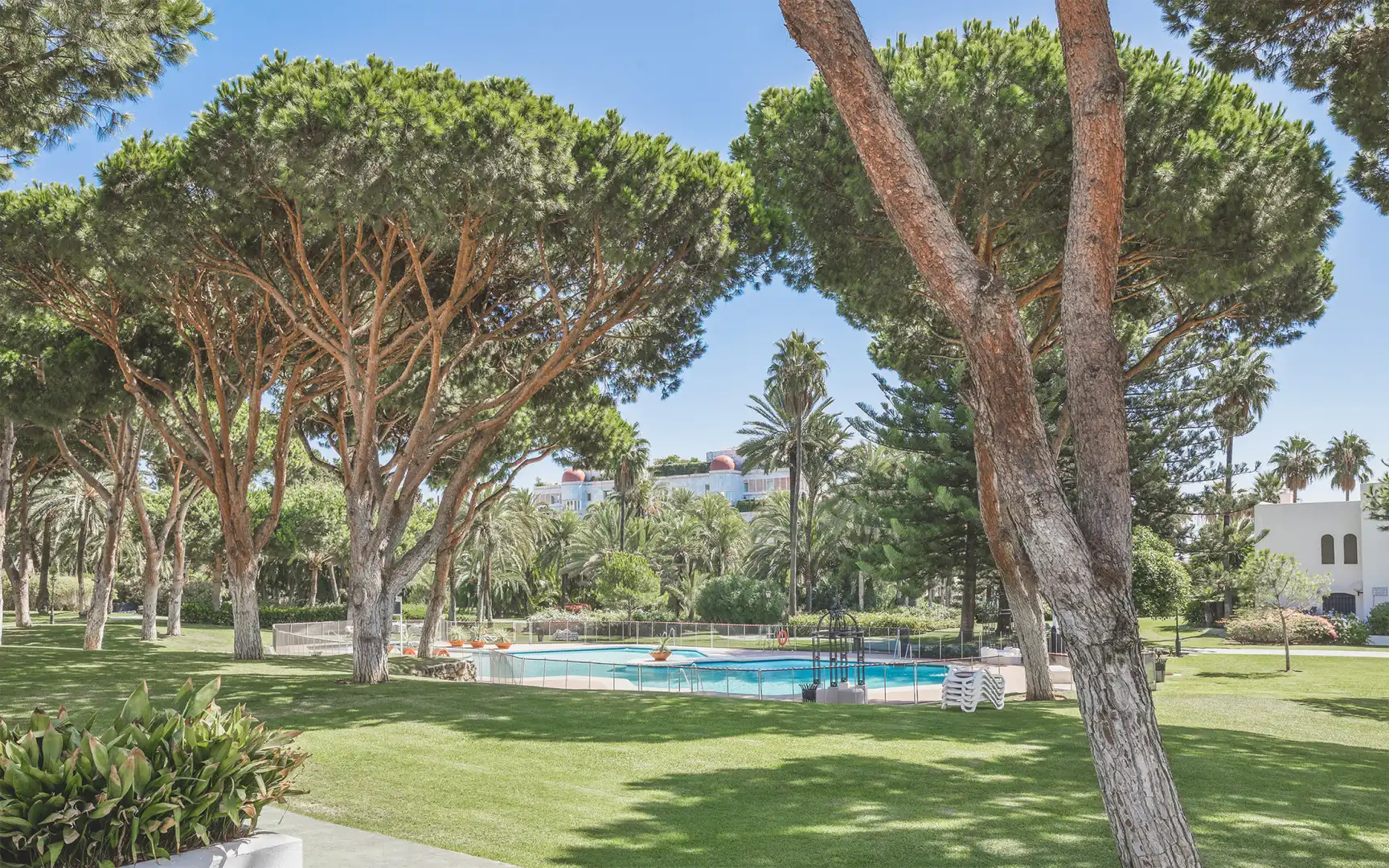 Appartement compact avec piscine à vendre à Nueva Andalucía, imagen 16
