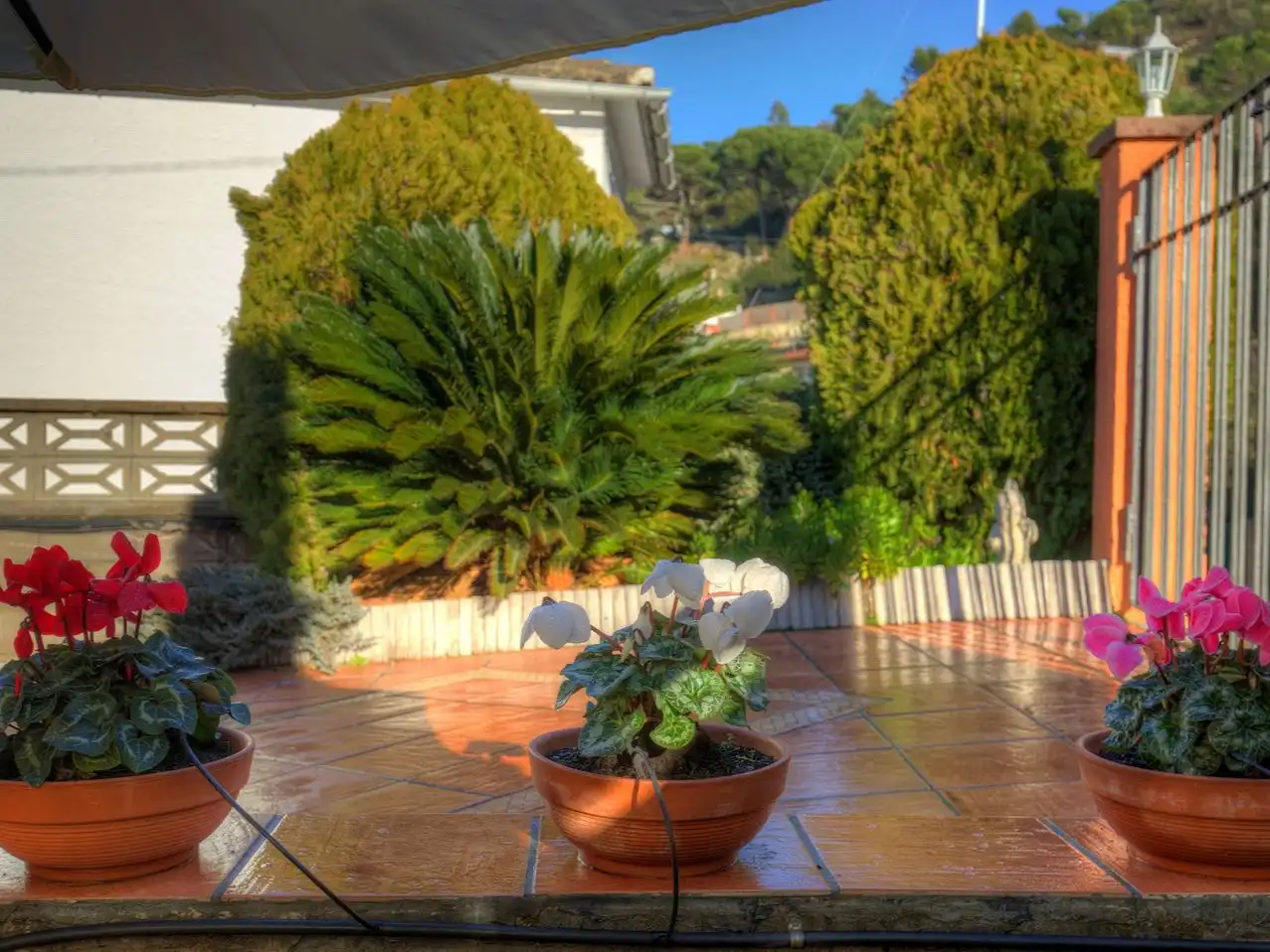 Maison avec piscine à louer à Salvador Espriu 5, imagen 25