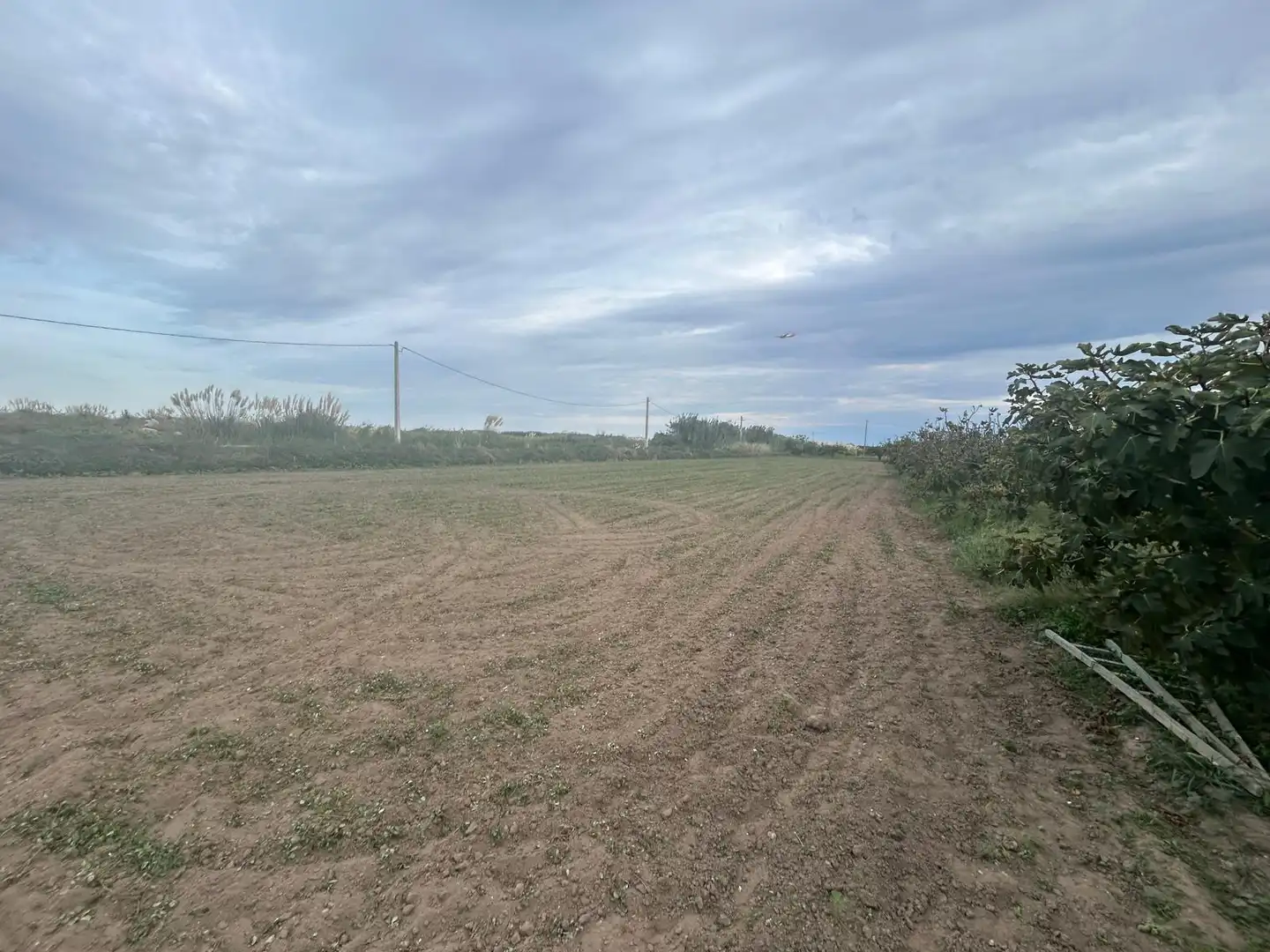 Terreno rustico in vendita a Vilamarina, imagen 3
