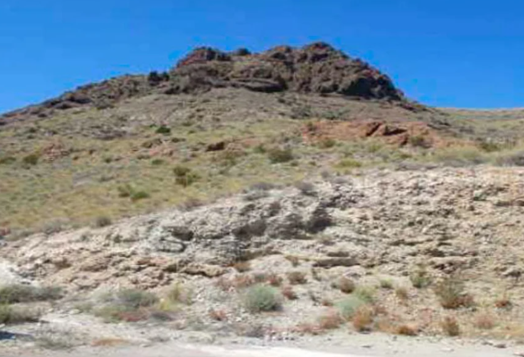 Exterior view of Building for sale in Níjar