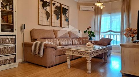 Photo 5 of Single-family semi-detached for sale in Caballero Bonald - San José Obrero - Guadalcacín, Jerez de la Frontera