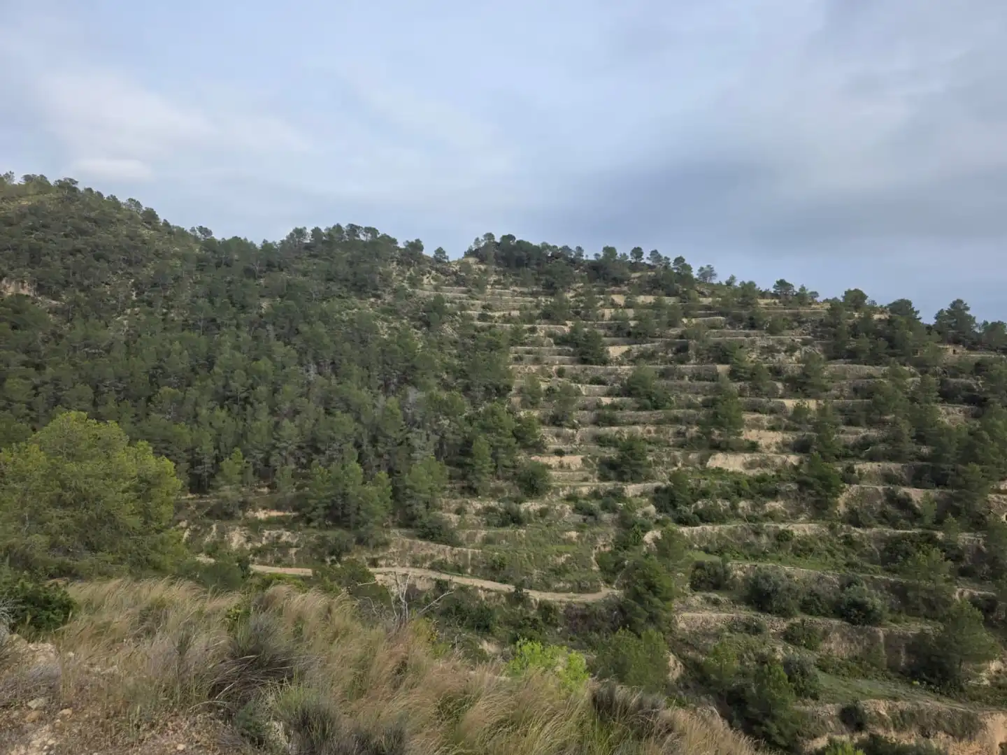 Terreno en venta en Sella