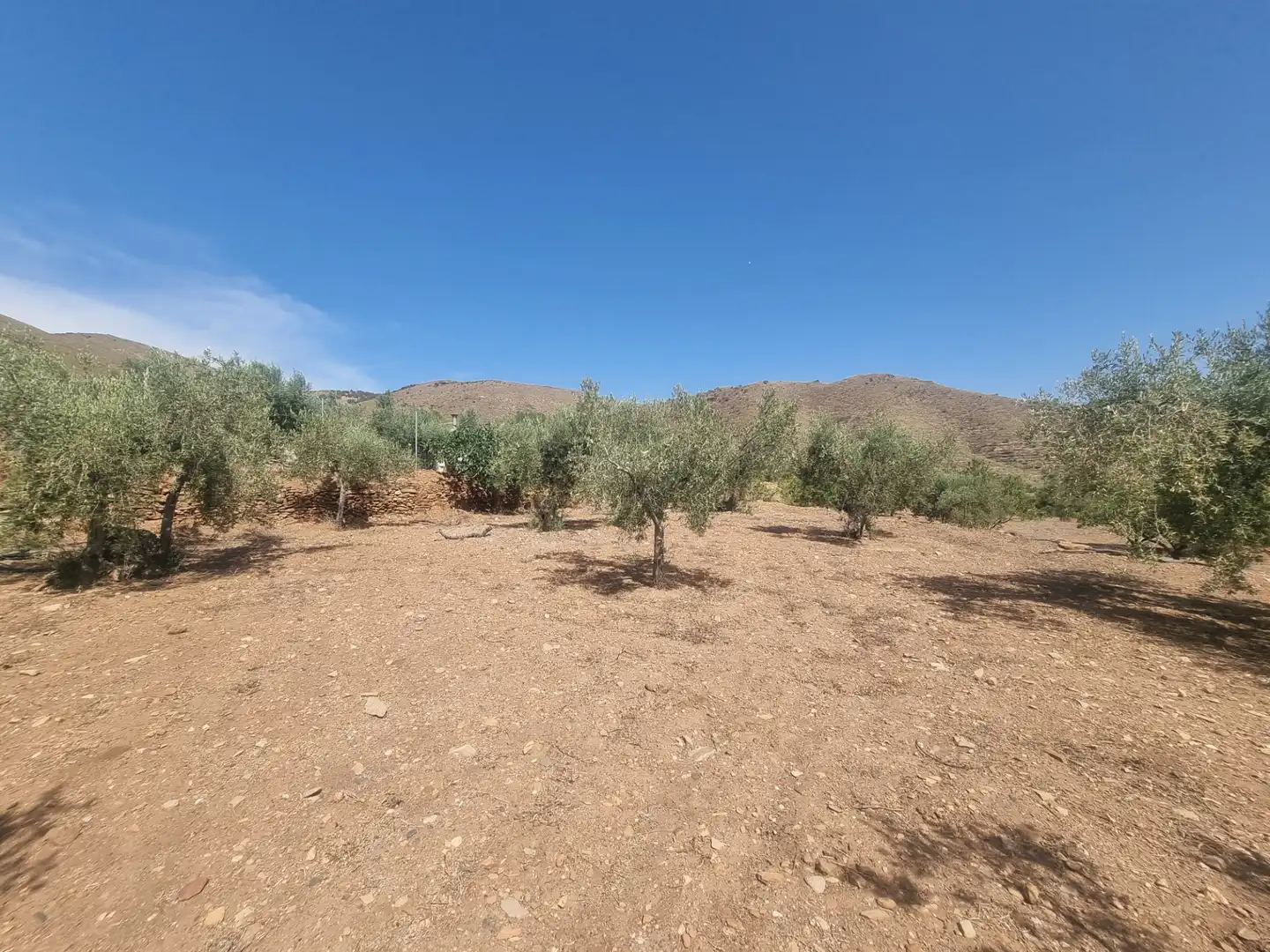 Terreno en venta en Senés