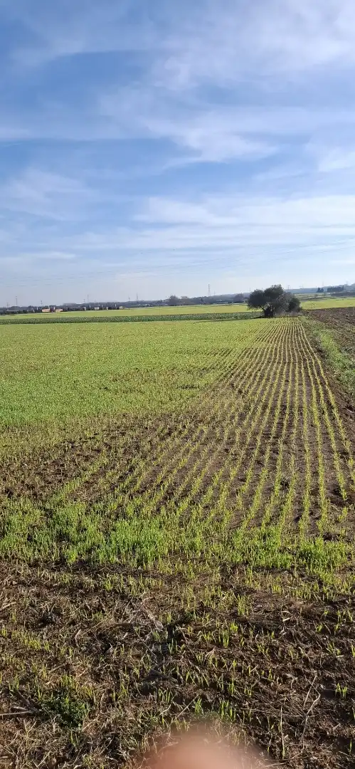 Terreno en venta en Vilafant