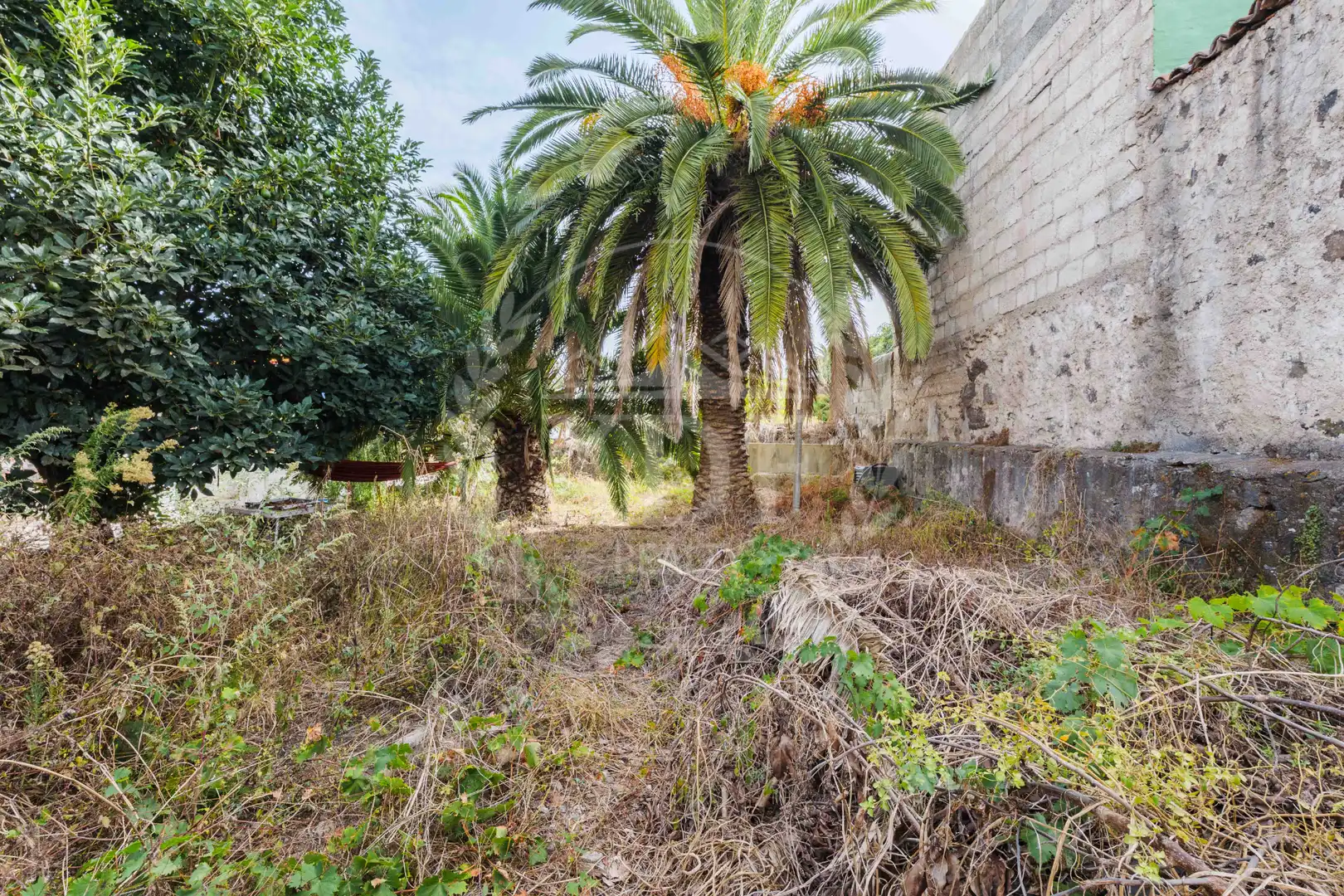 Maison jumelée avec terrasse à vendre à Calle Doctor Domingo González García, imagen 45
