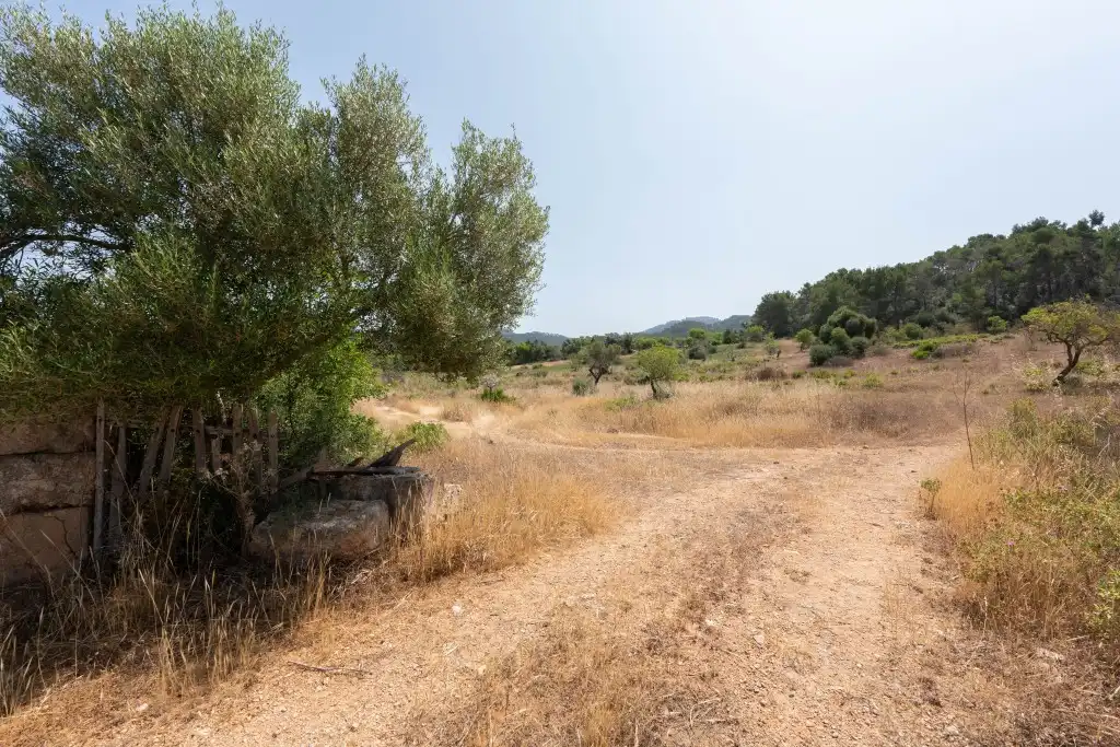 Rural land for sale in Felanitx Poble, imagen 5
