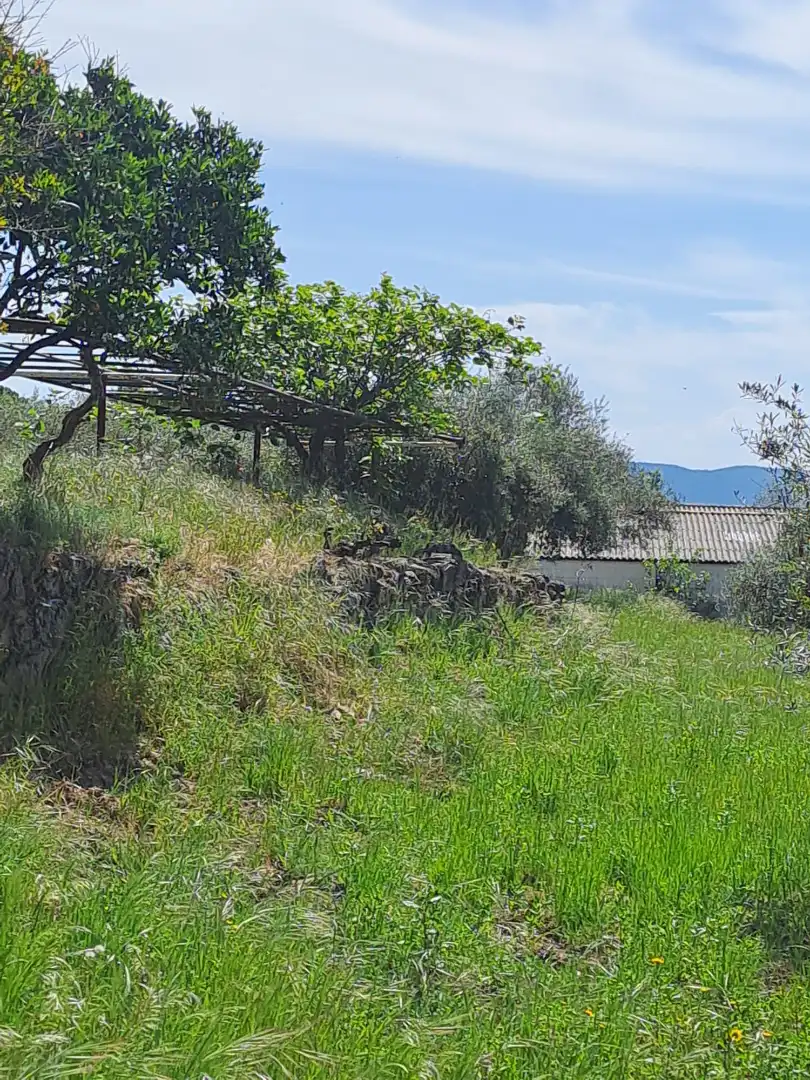 Terreni e lotti in vendita a Arenas de San Pedro, imagen 28