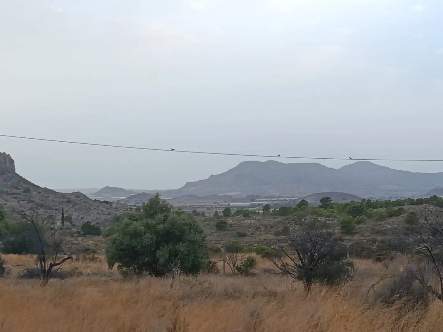 Terreny rústic en venda a Agost, imagen 5