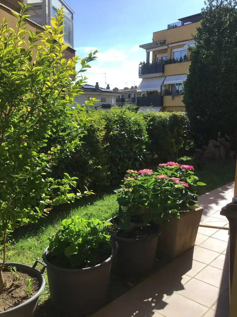 Jardín de Casa adosada en venta en Santa Coloma de Farners con Calefacción, Jardín privado y Terraza