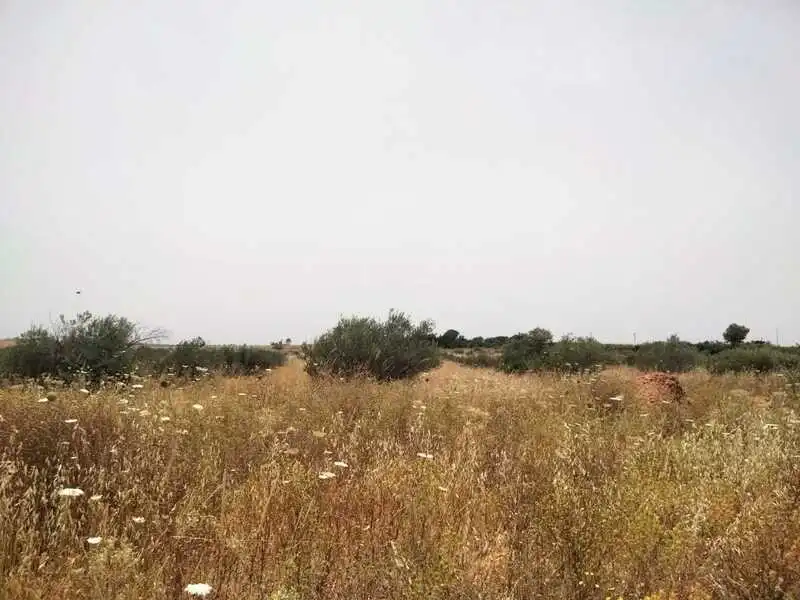 Terreni e lotti in vendita a Carretera de Palomares, imagen 34