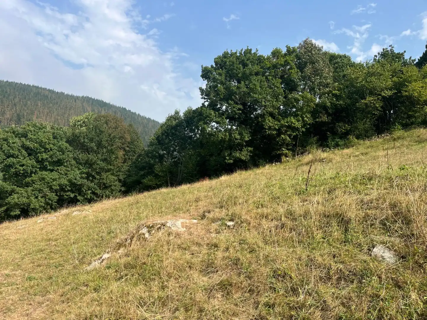Wohnbaugrundstück zum Verkauf in San Miguel de Luena - SAN MIGUEL DE LUENA, imagen 21